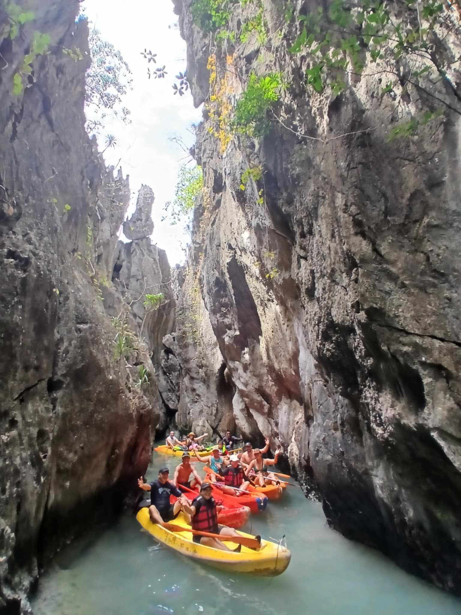 Firefly Watching (Bay Cruise) Tour Package