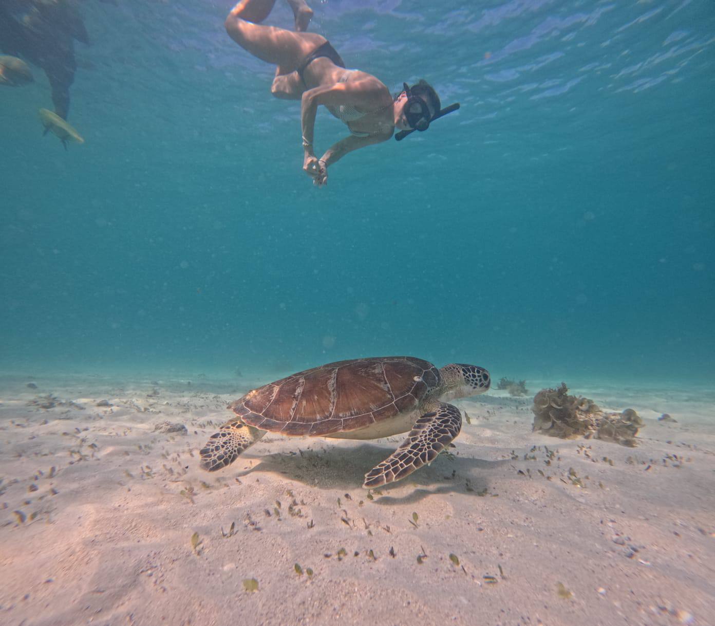 Port Barton Tour Package