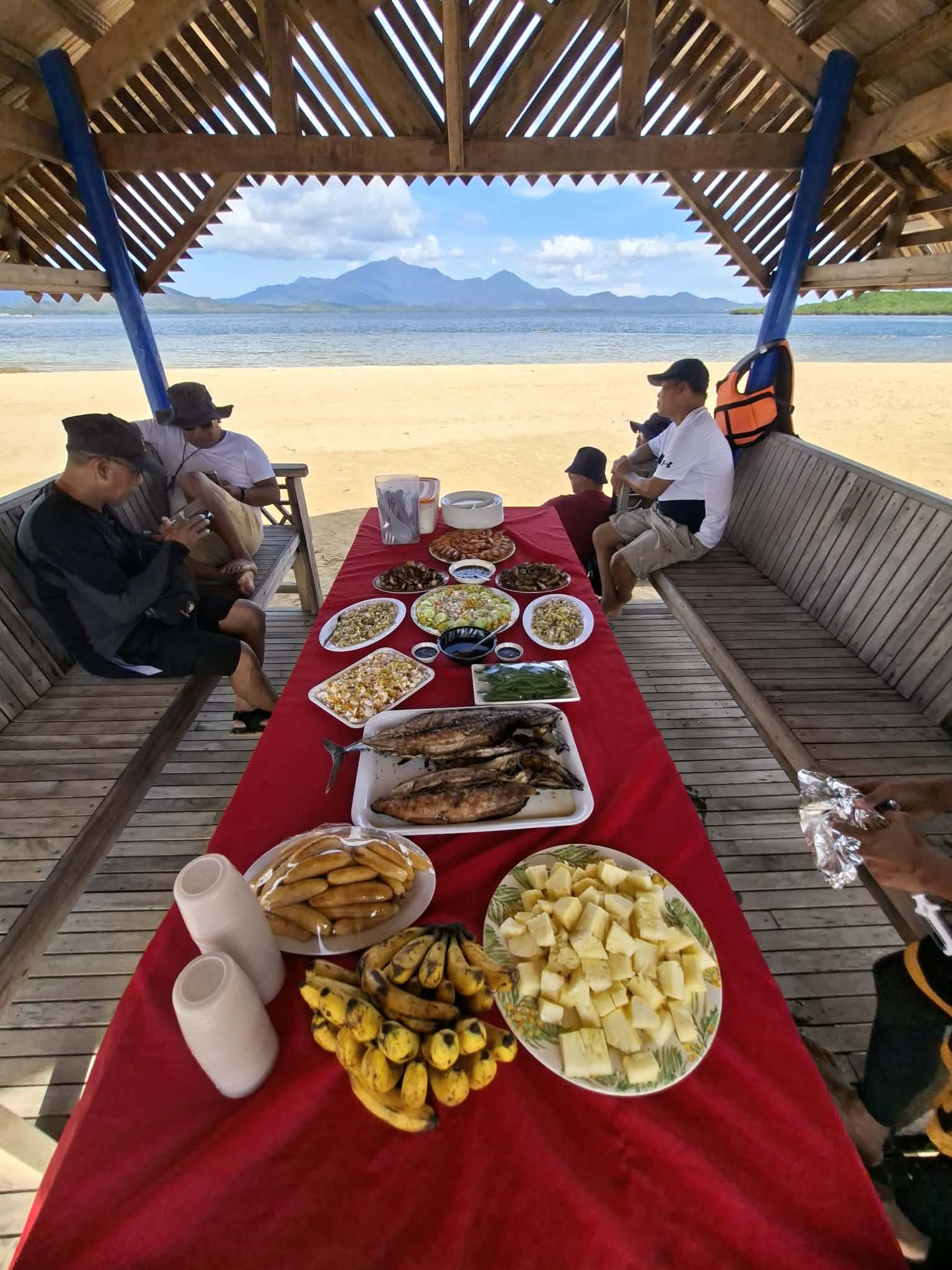 Honda Bay Island Hopping Tour Package